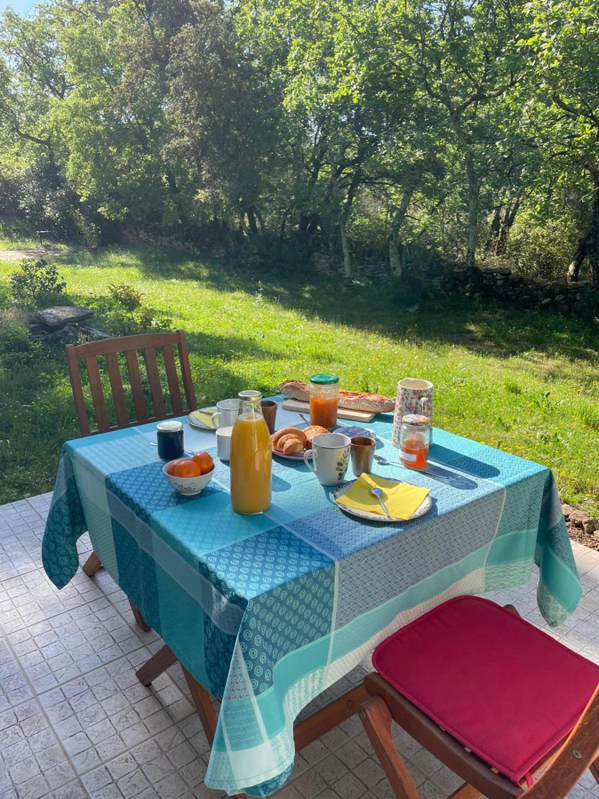 Les Marguerites Bed and Breakfast Vers-Pont-du-Gard Eksteriør billede