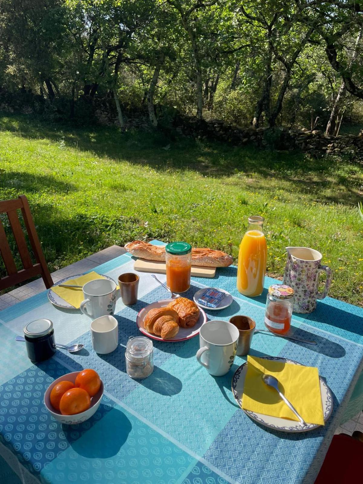 Les Marguerites Bed and Breakfast Vers-Pont-du-Gard Eksteriør billede
